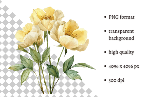 Download Yellow Spring Flowers Illustration PNG - Spring Collection