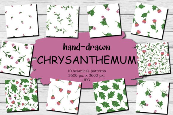Download Chrysanthemum Spring Floral Background - Spring Collection