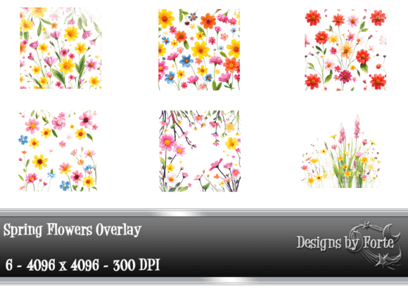 Download 6 Vibrant Spring Floral Overlays - Spring Collection